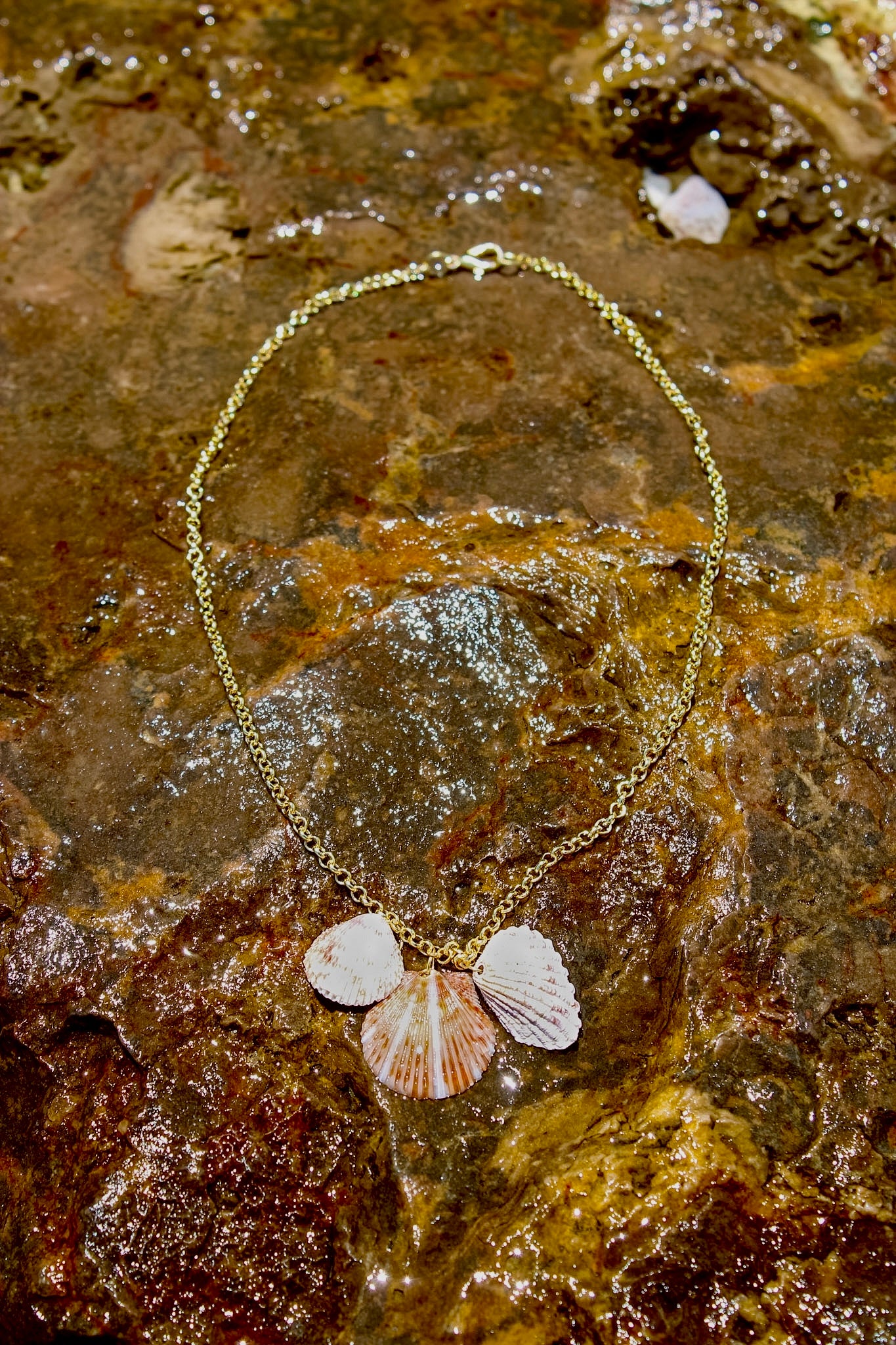 Small Scallop Shells Necklace - Gold