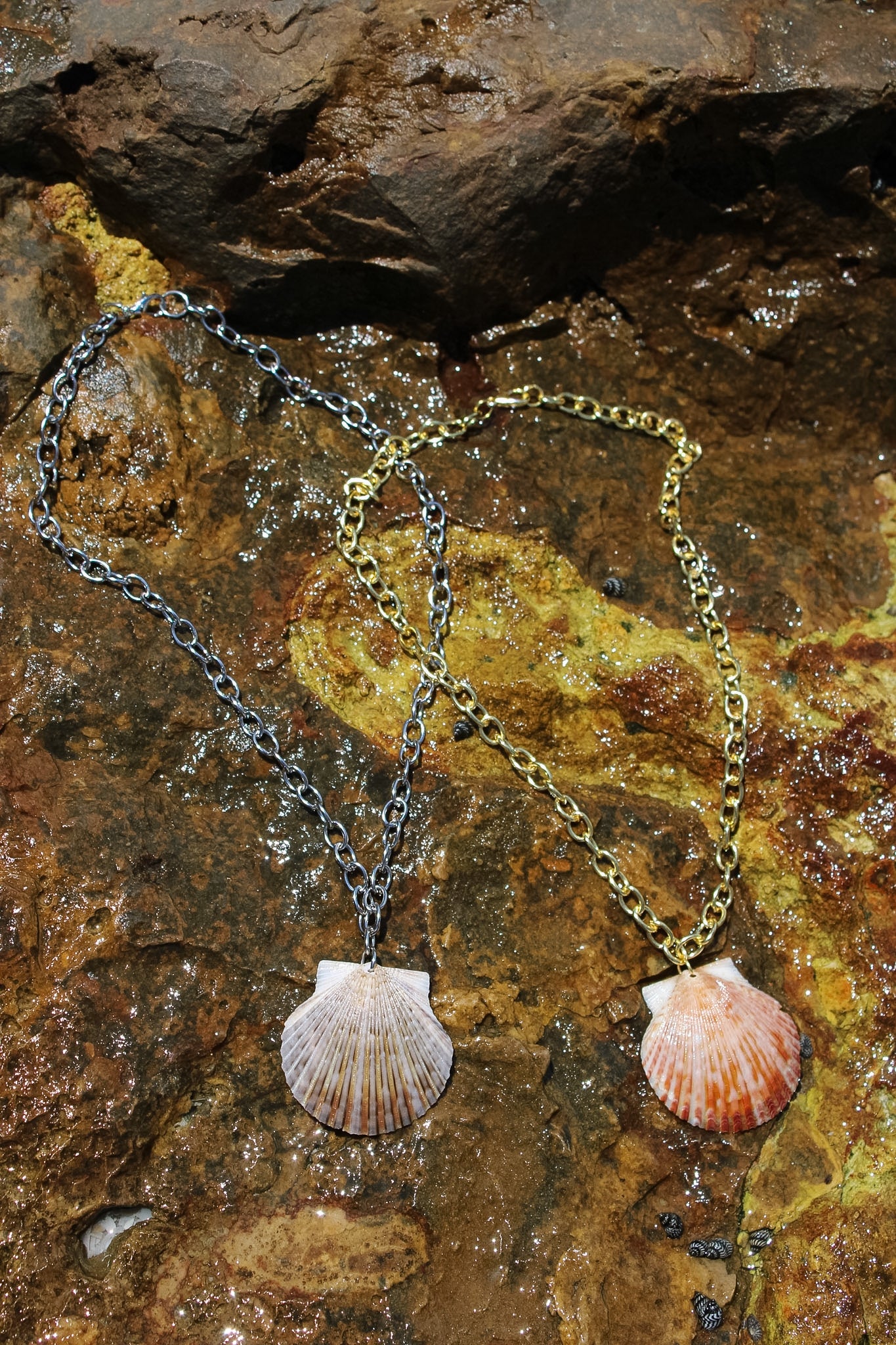 Large Scallop Shell Necklace - Silver