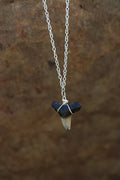 Bull Shark Tooth Necklace - Silver