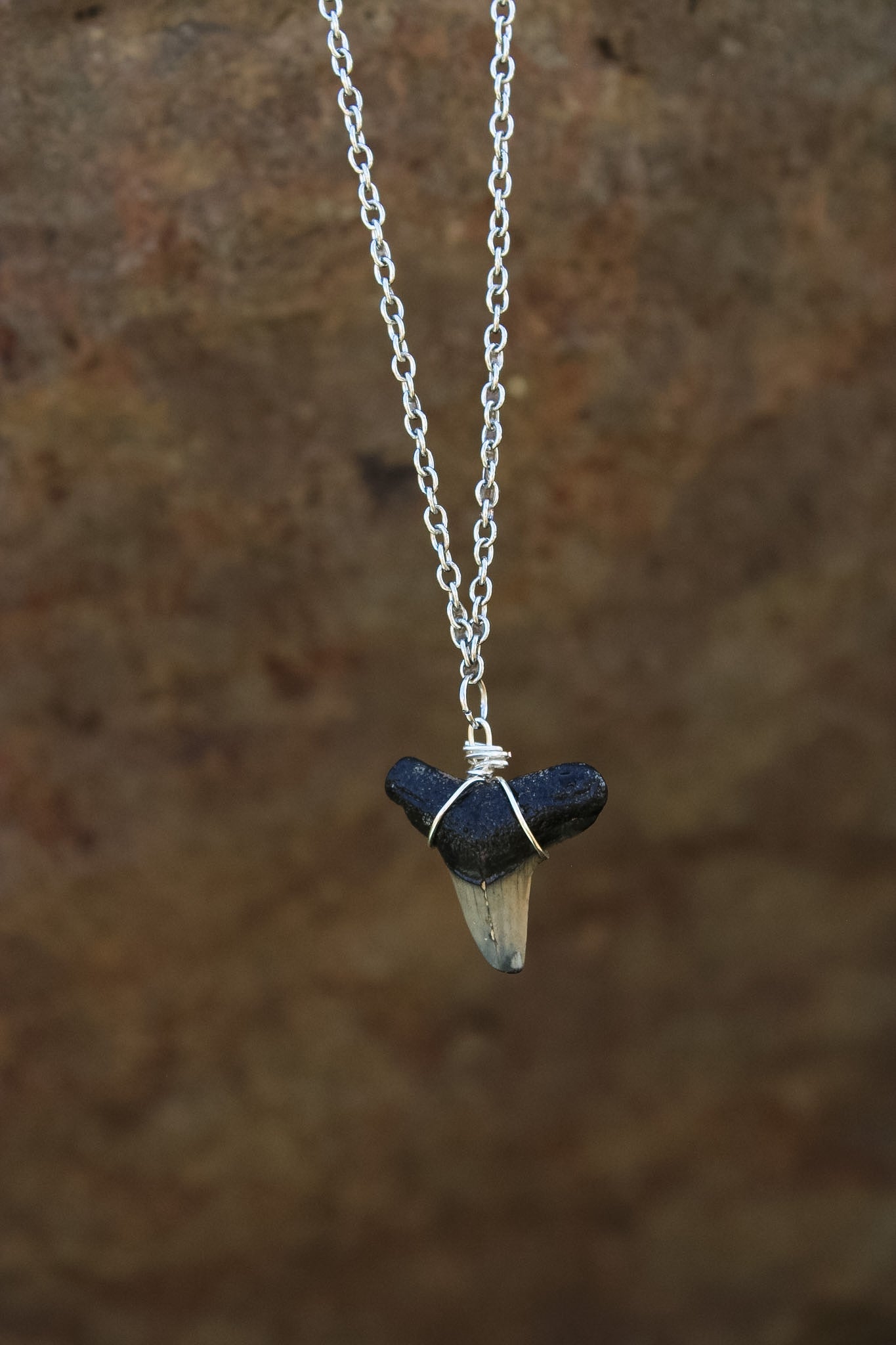Bull Shark Tooth Necklace - Silver