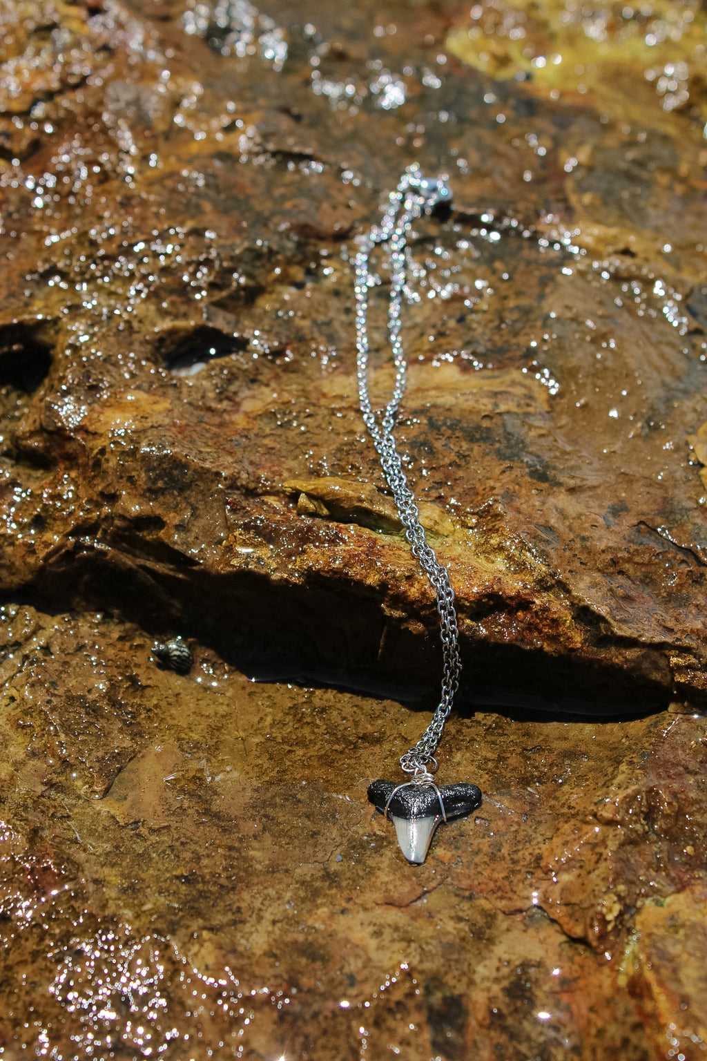 Bull Shark Tooth Necklace - Silver