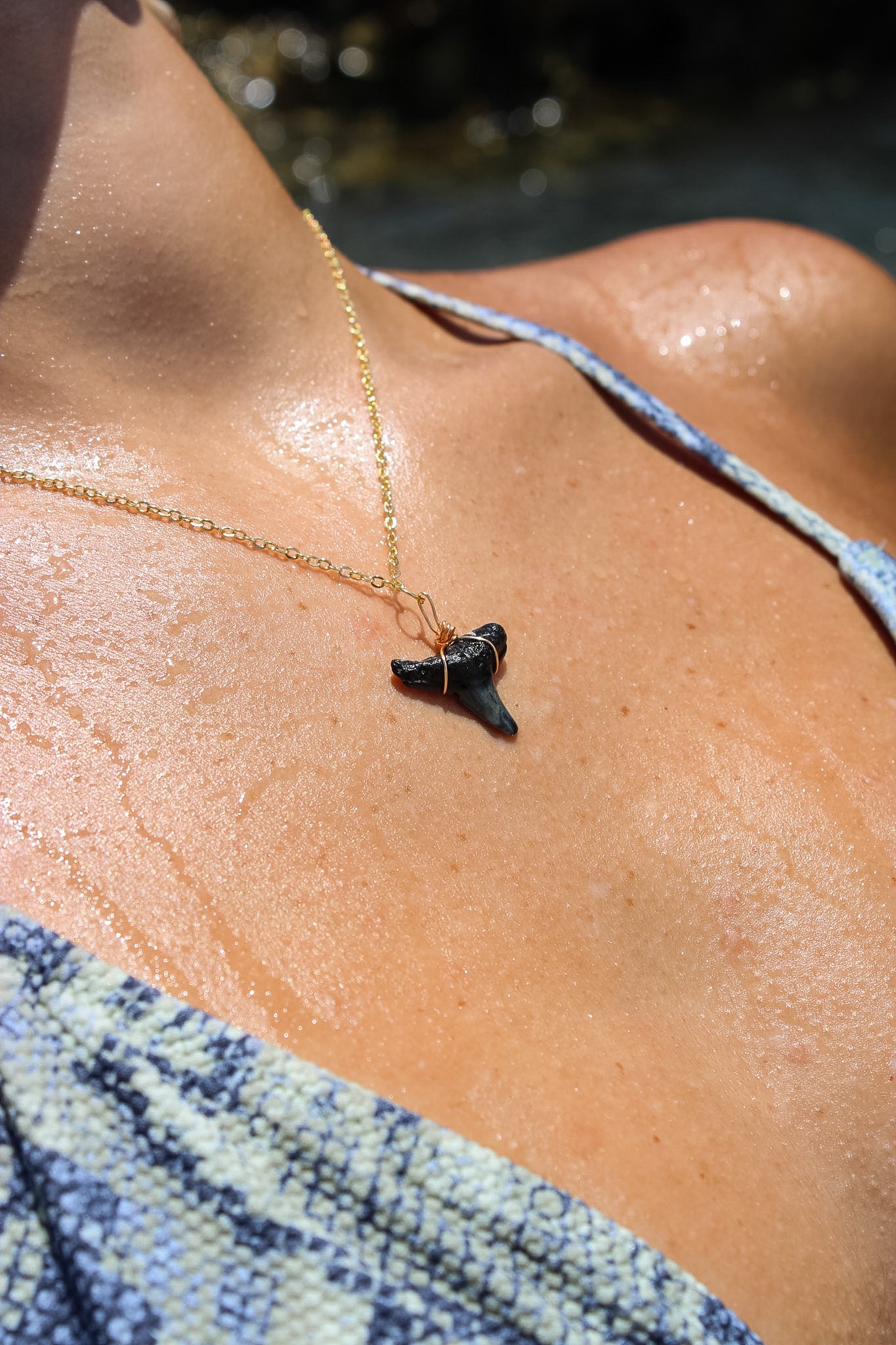 Bull Shark Tooth Necklace - Gold
