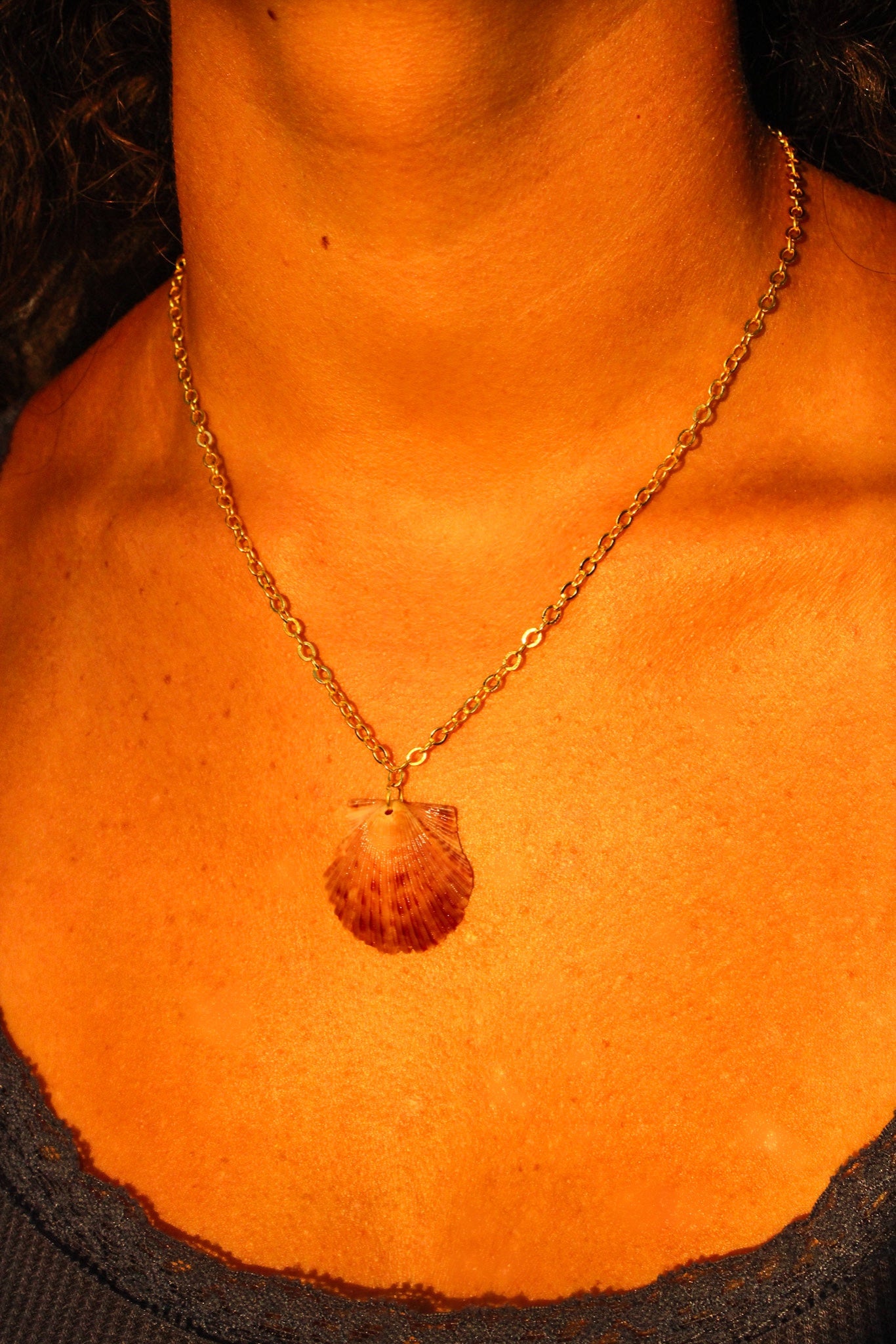 Medium Scallop Shell Necklace - Gold
