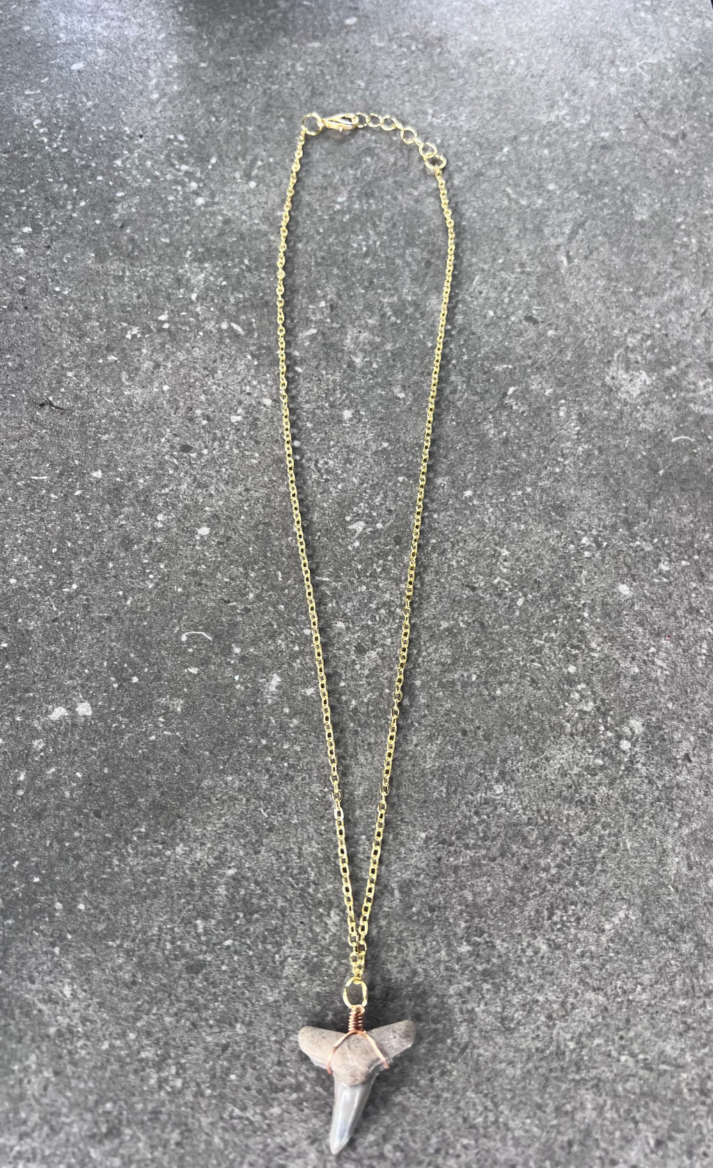 Lemon Shark Tooth Necklace - Gold