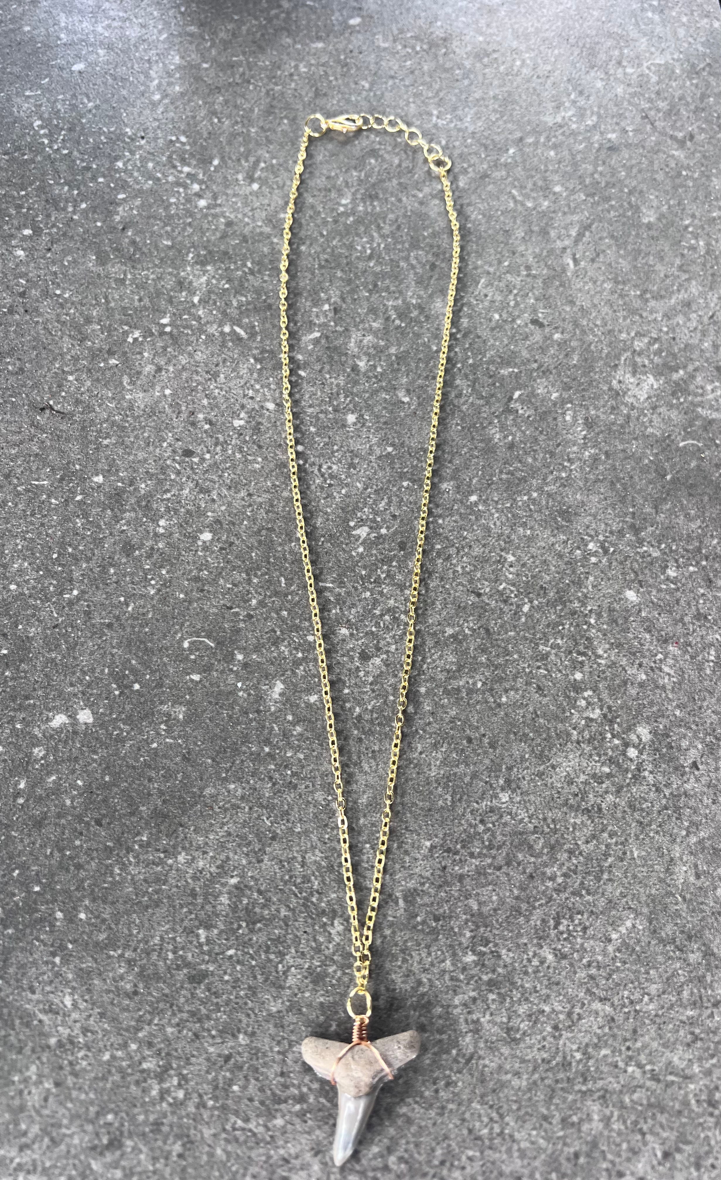Lemon Shark Tooth Necklace - Gold