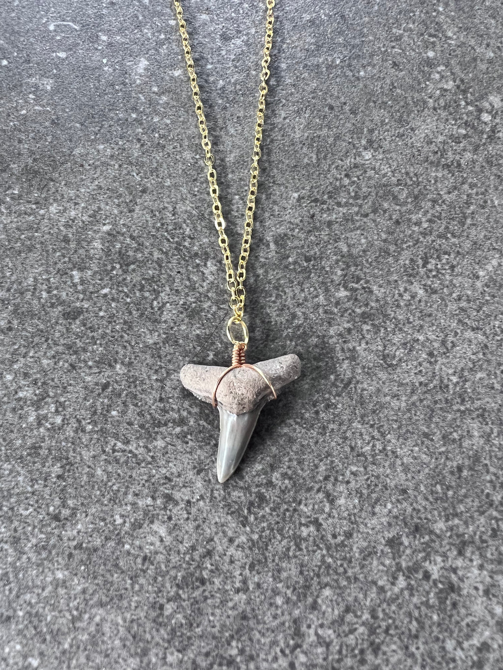 Lemon Shark Tooth Necklace - Gold