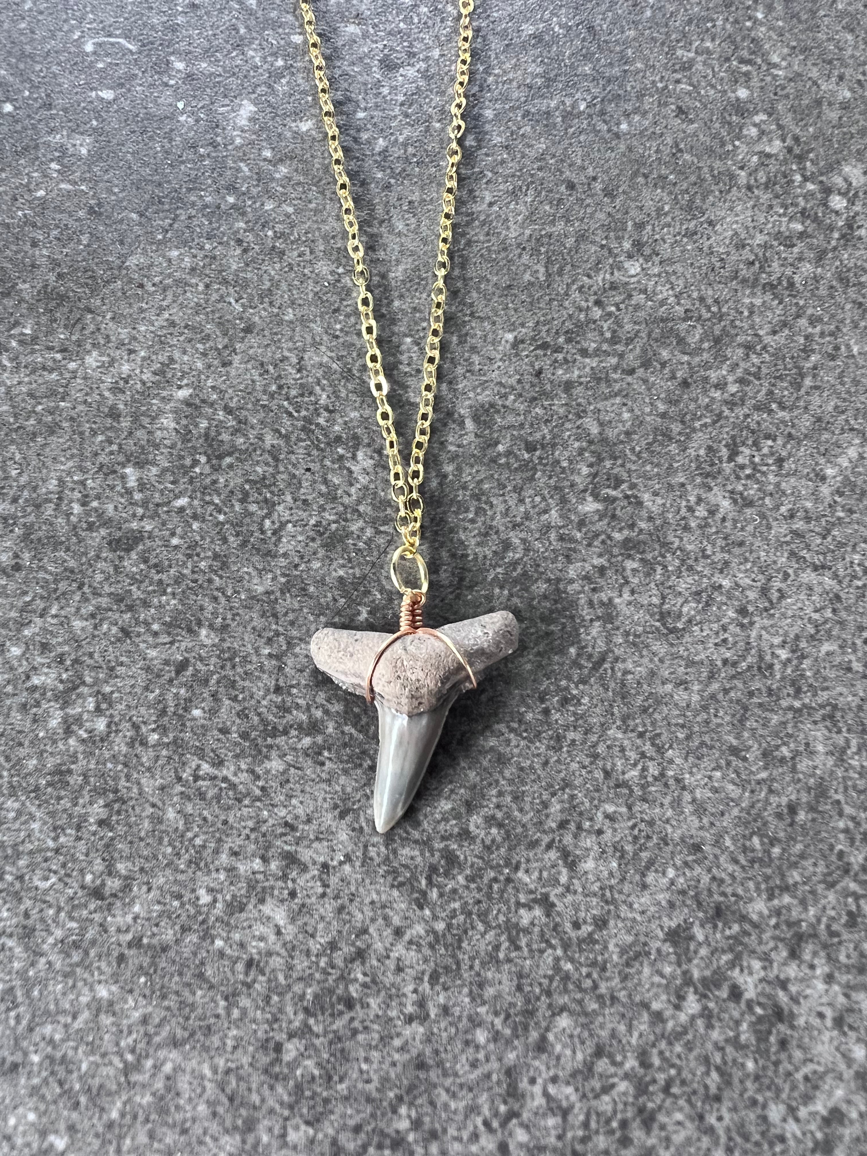 Lemon Shark Tooth Necklace - Gold