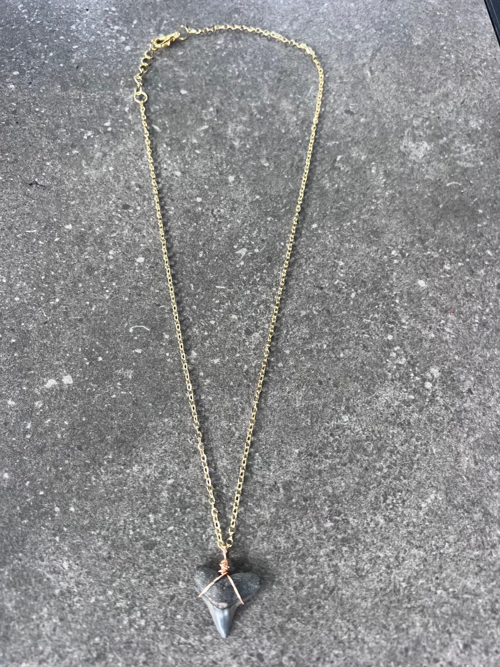 Bull Shark Tooth Necklace - Gold