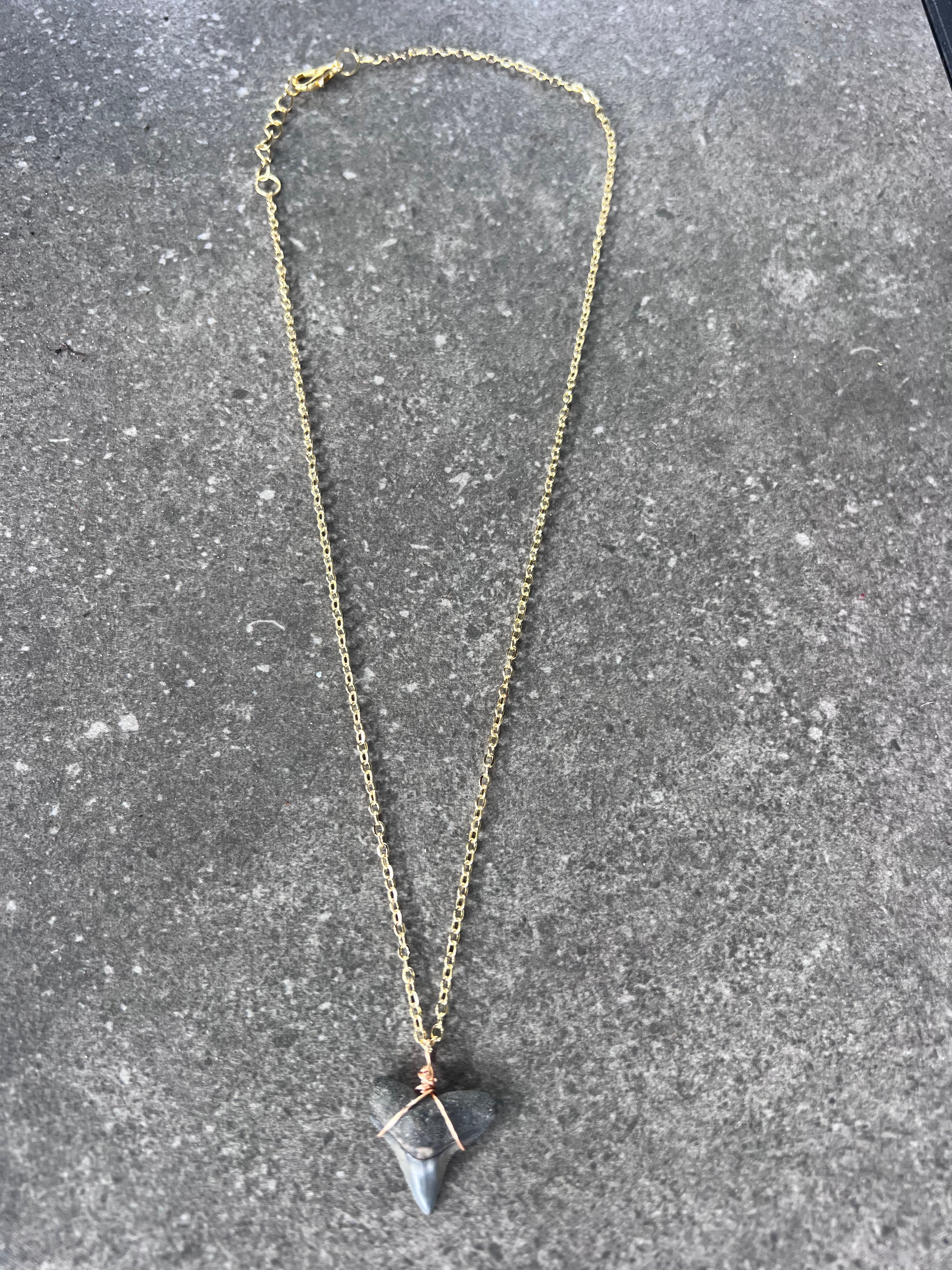 Bull Shark Tooth Necklace - Gold