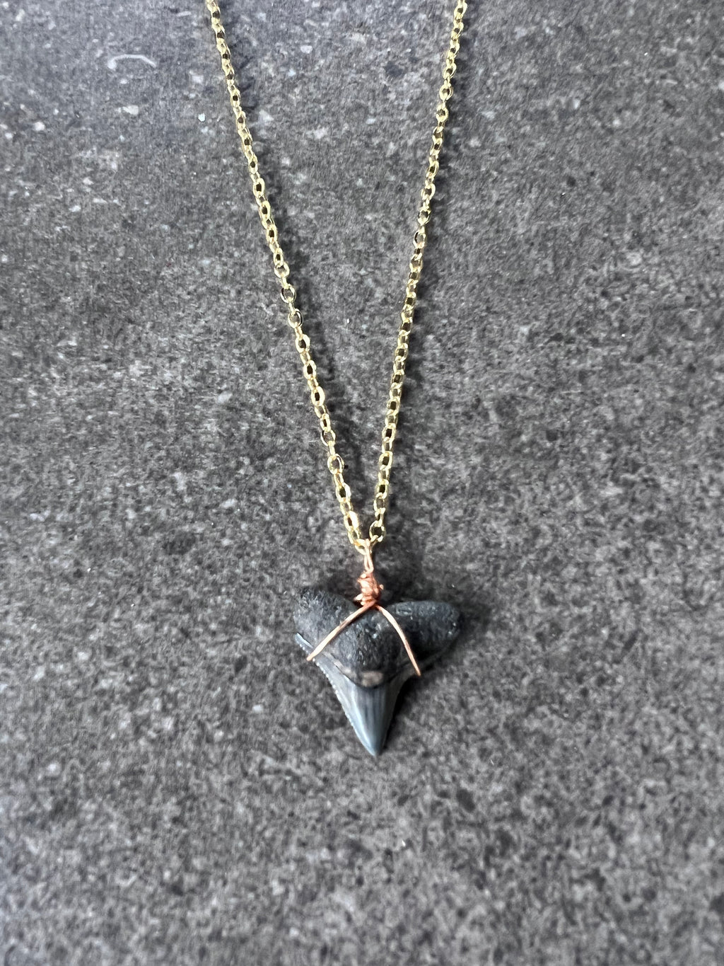 Bull Shark Tooth Necklace - Gold
