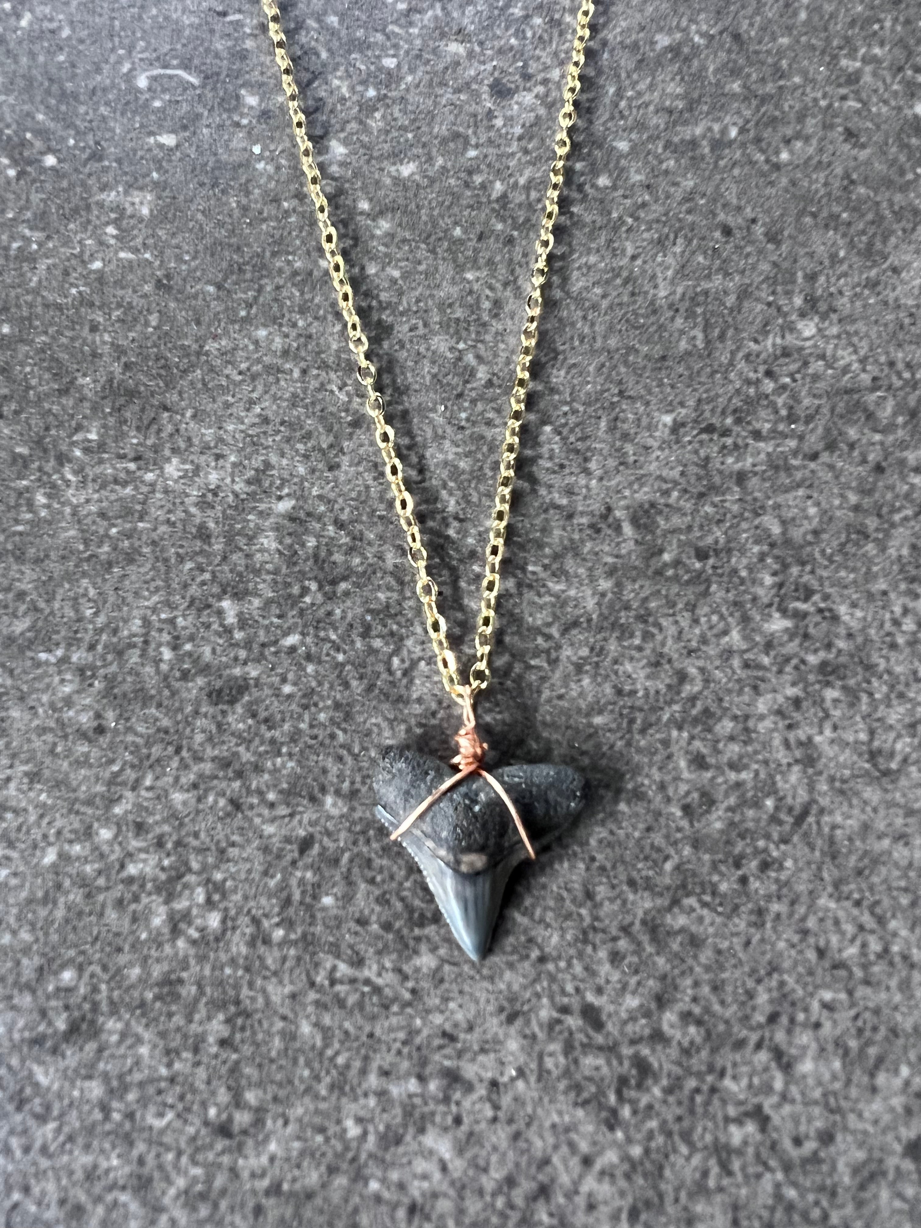 Bull Shark Tooth Necklace - Gold