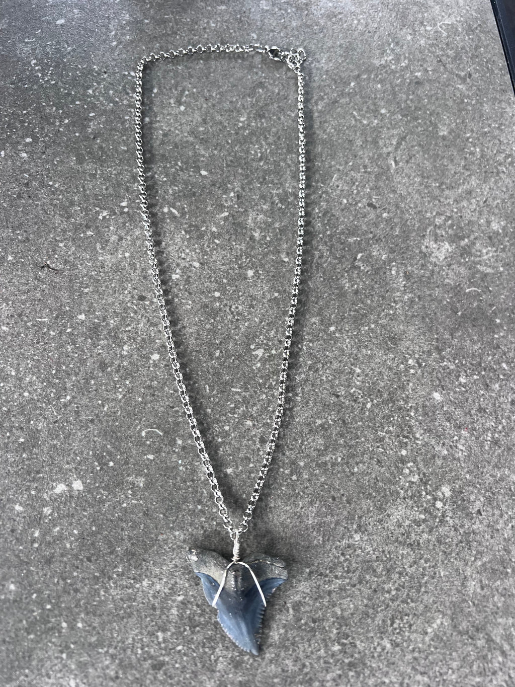 Snaggletooth Shark Tooth Necklace - Silver