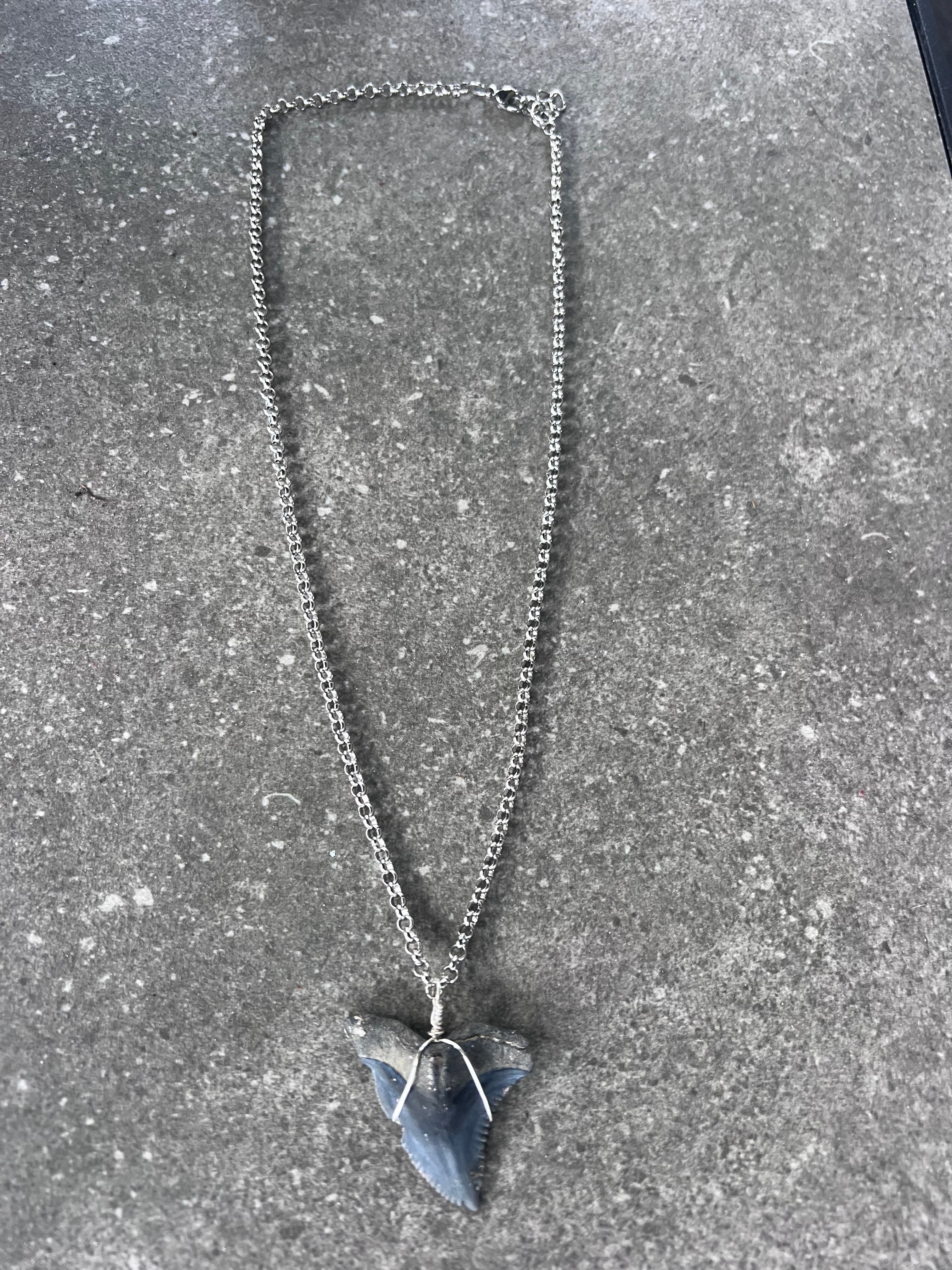 Snaggletooth Shark Tooth Necklace - Silver