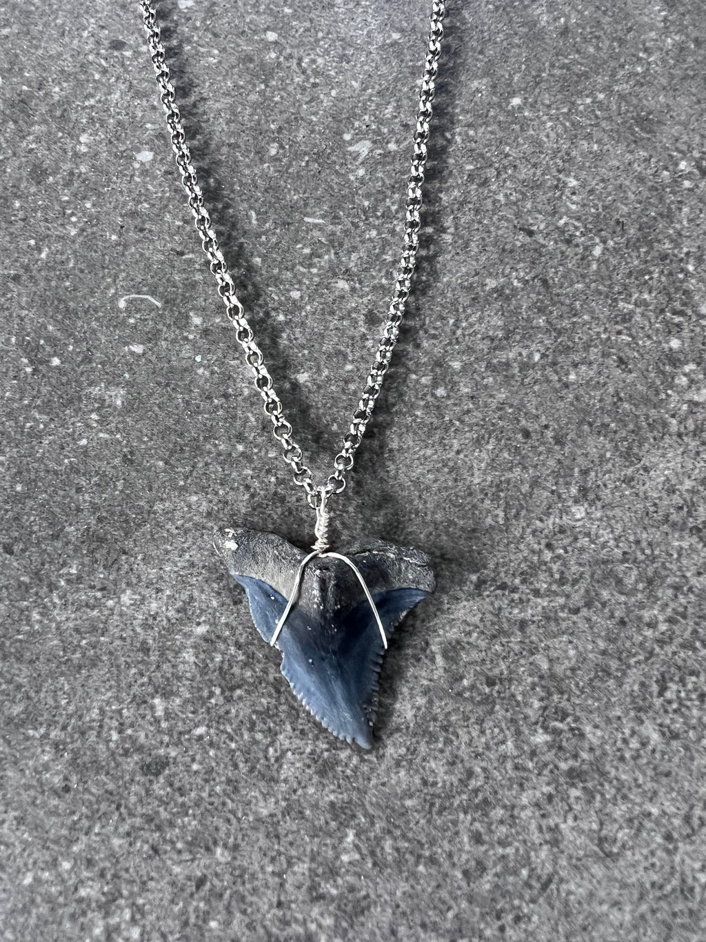 Snaggletooth Shark Tooth Necklace - Silver