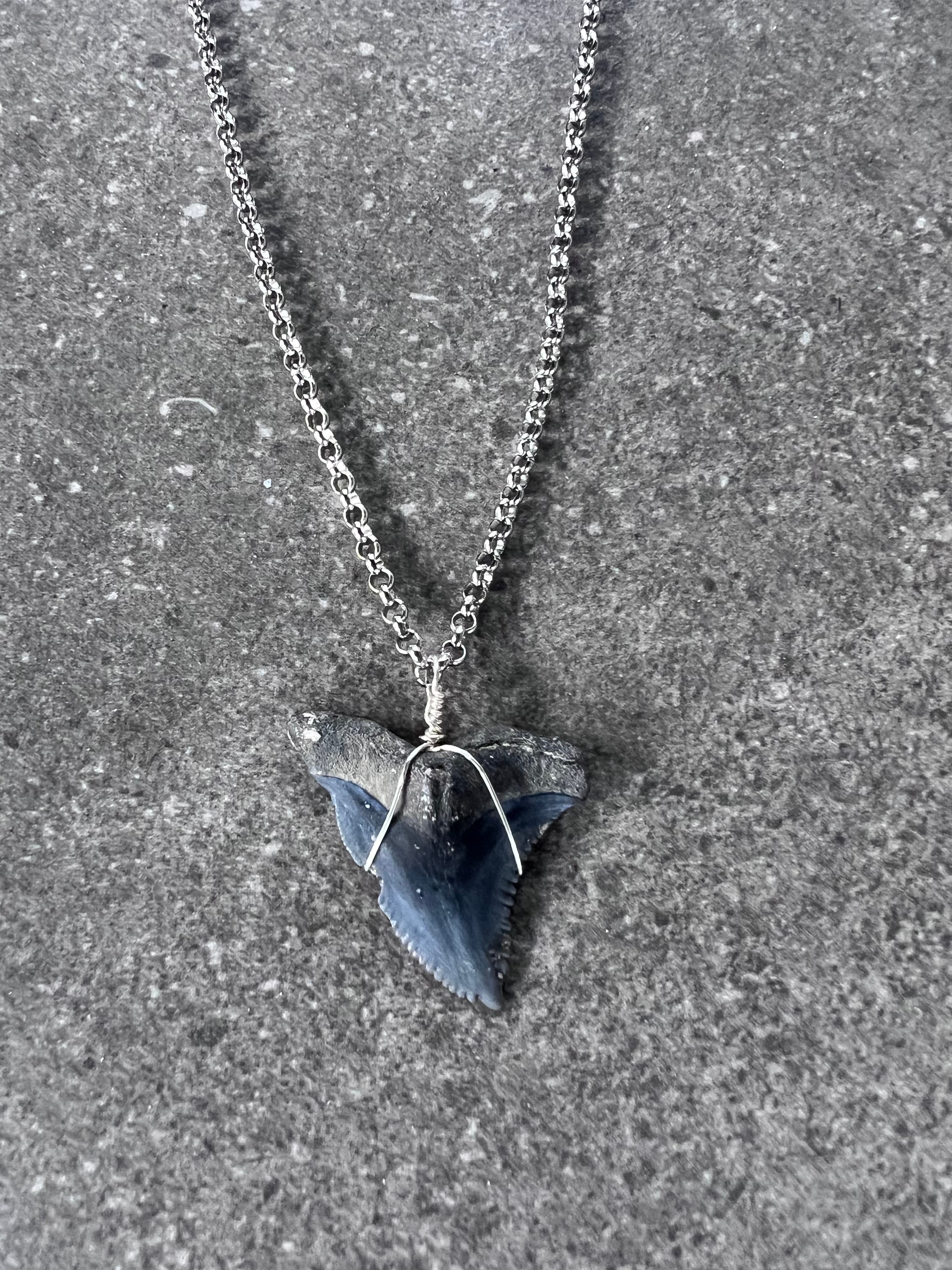 Snaggletooth Shark Tooth Necklace - Silver