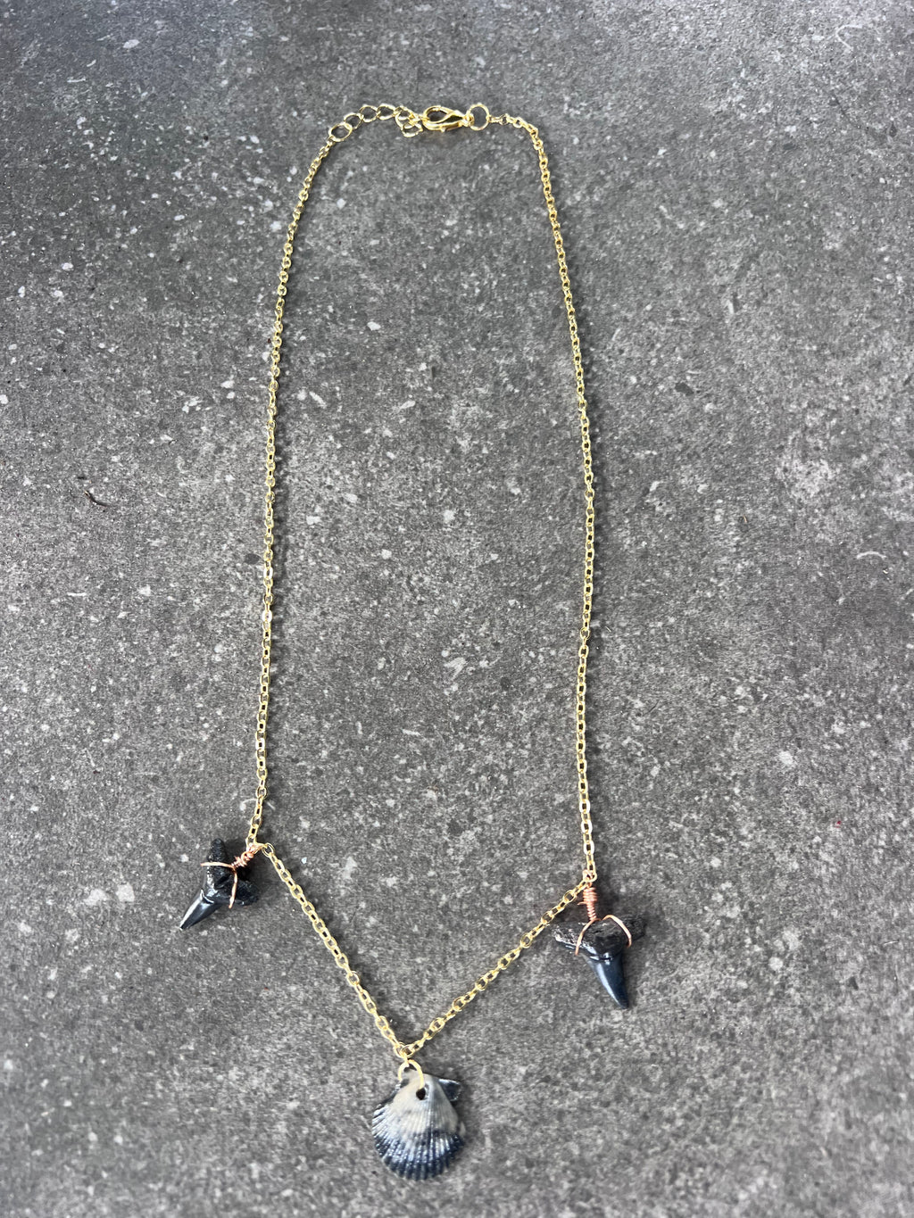 Bull Shark Tooth and Small Scallop Necklace - Gold