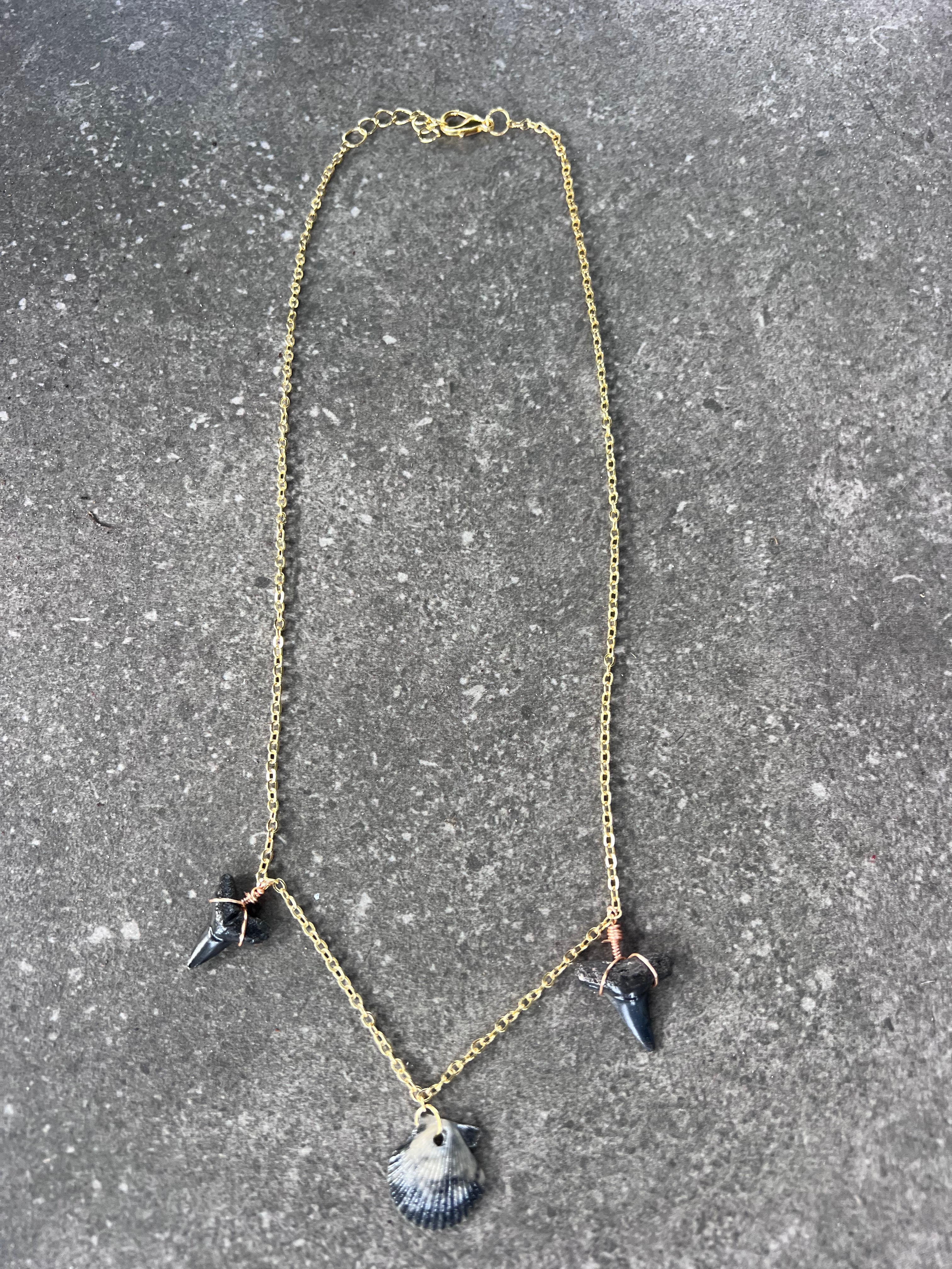Bull Shark Tooth and Small Scallop Necklace - Gold