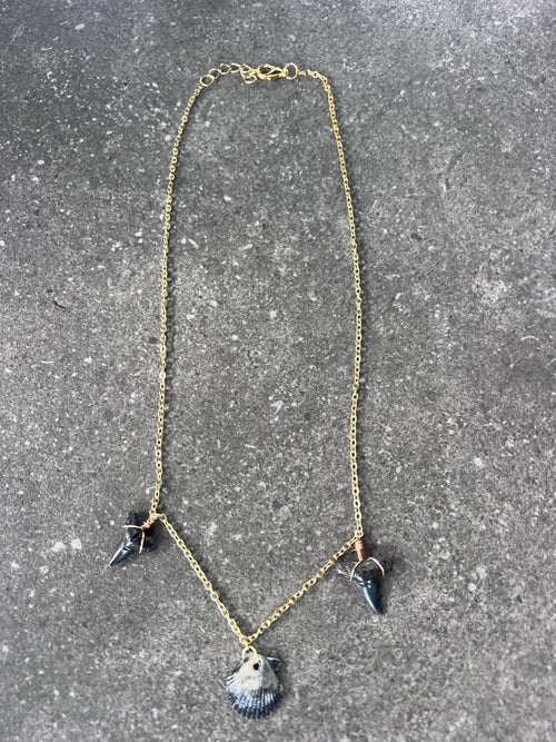 Bull Shark Tooth and Small Scallop Necklace - Gold