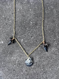 Bull Shark Tooth and Small Scallop Necklace - Gold