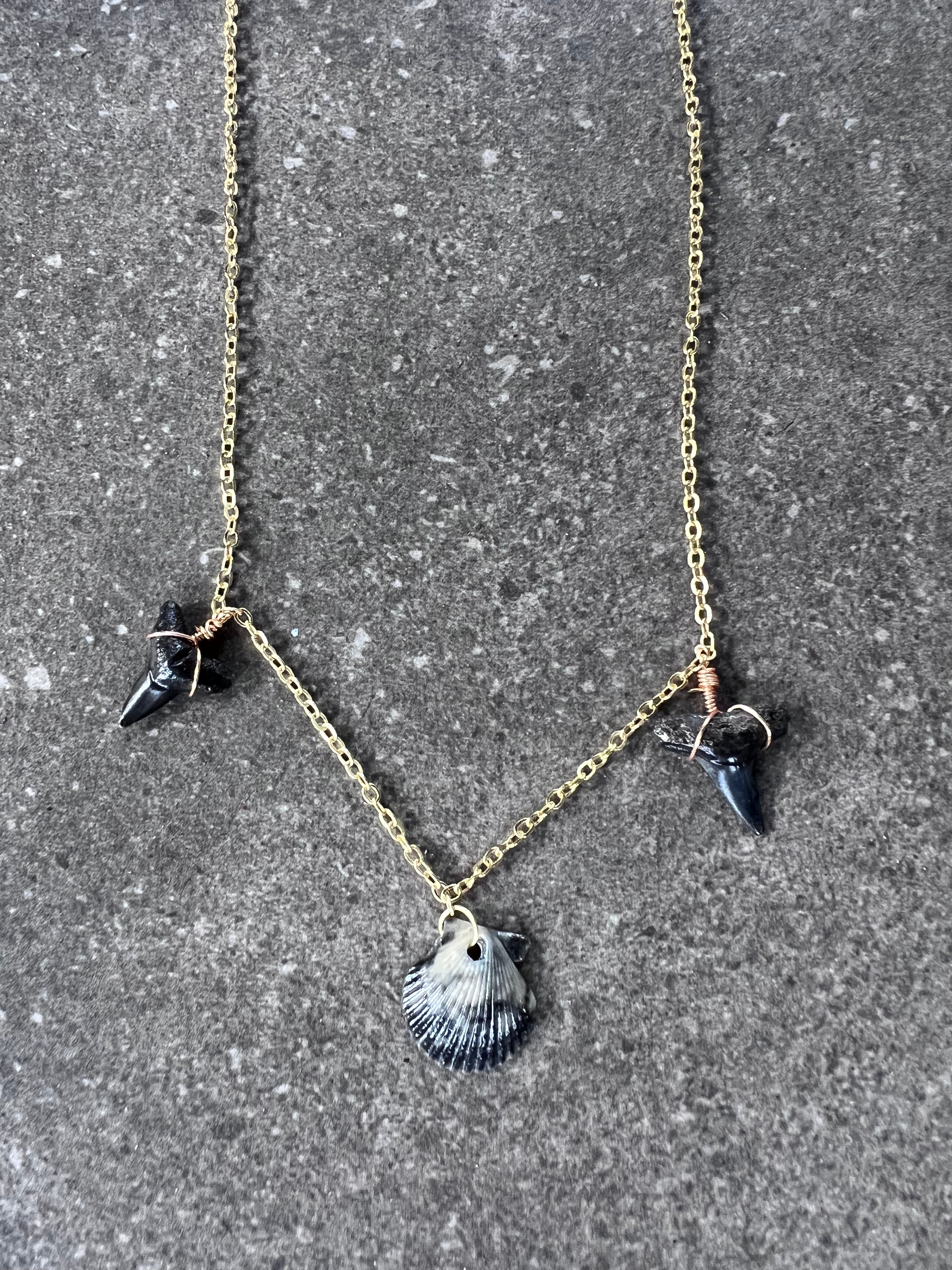 Bull Shark Tooth and Small Scallop Necklace - Gold