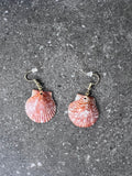 Medium Scallop Shell Earrings - Gold