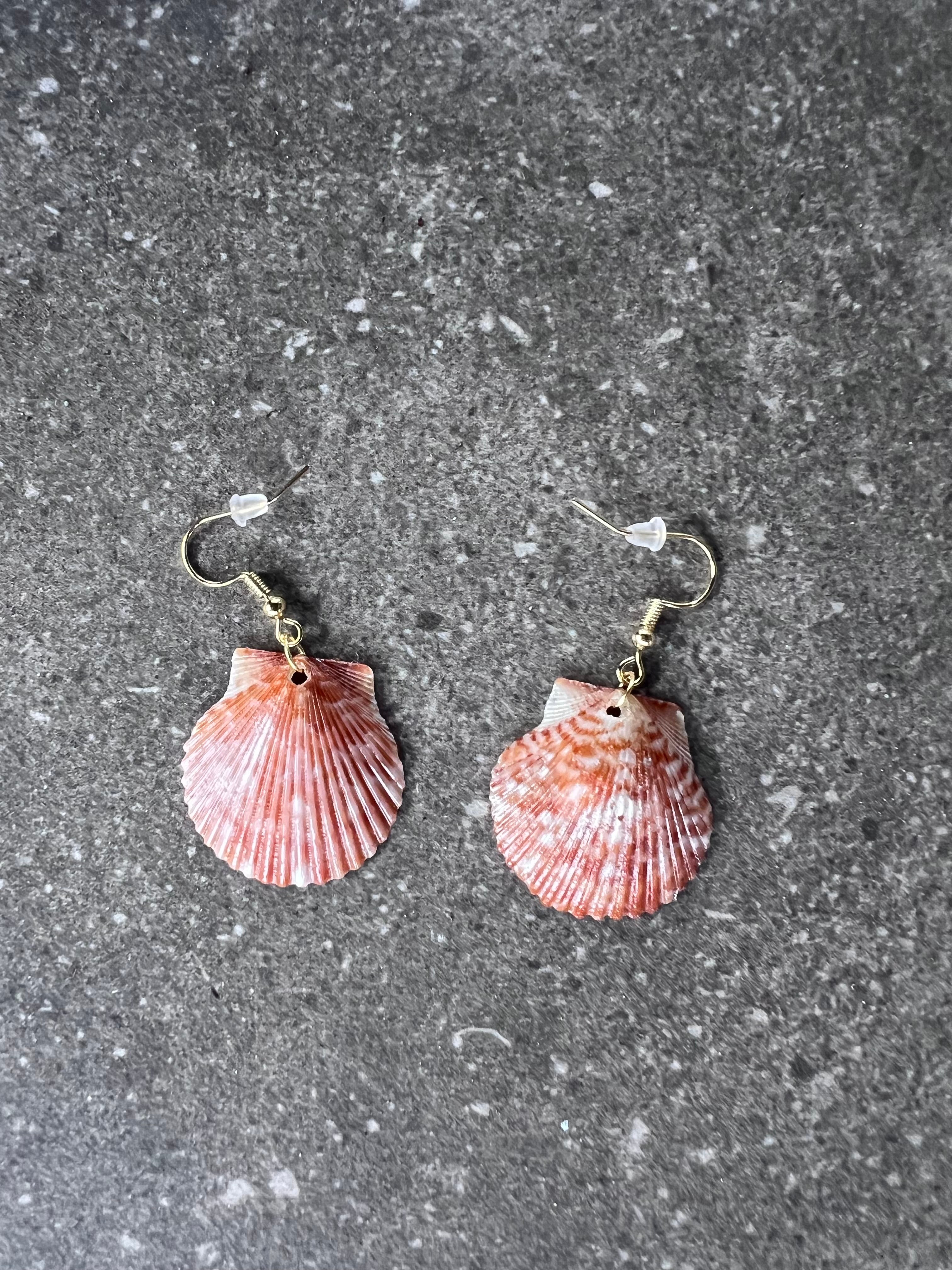 Medium Scallop Shell Earrings - Gold