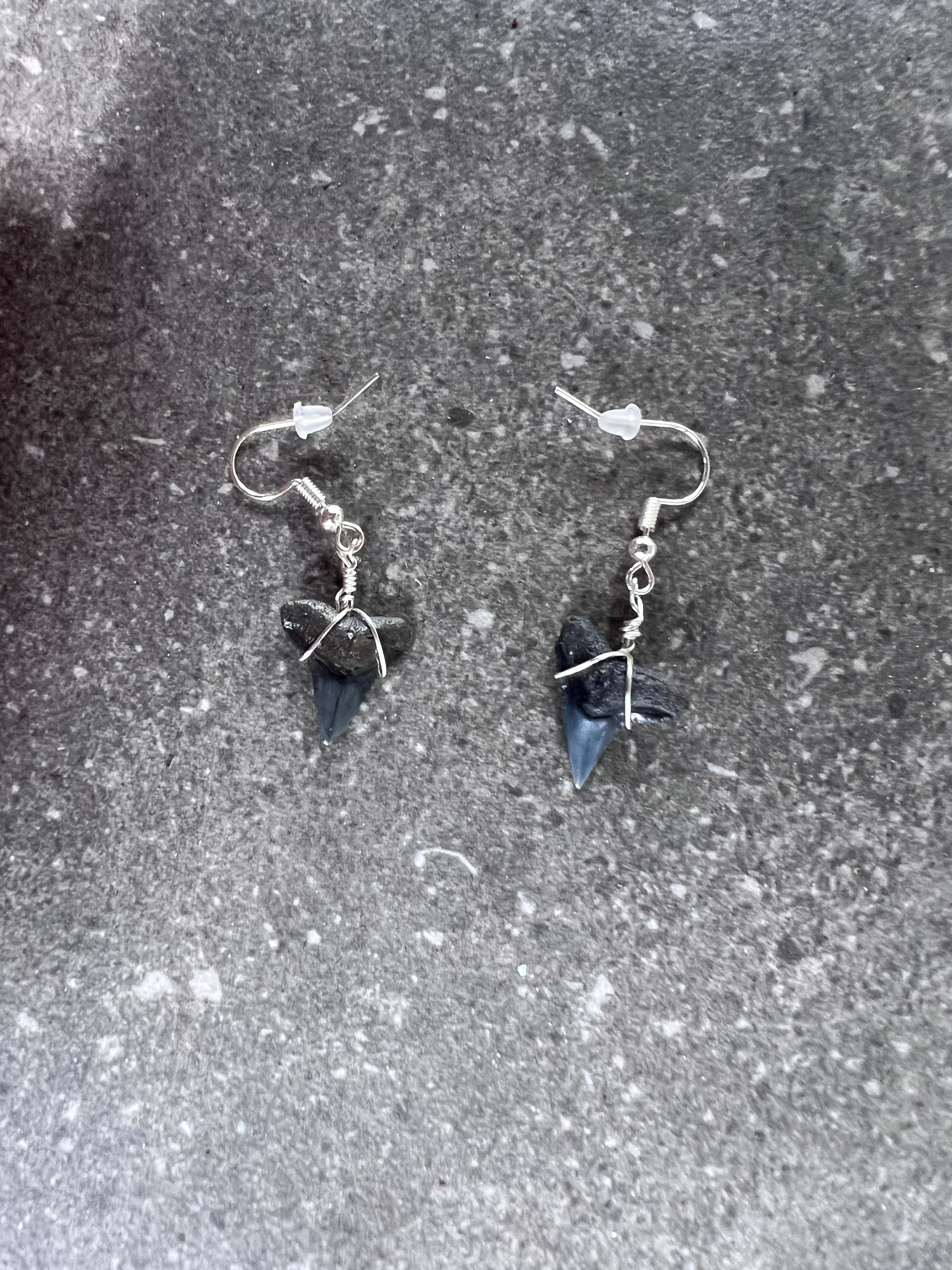 Bull Shark Teeth Earrings - Silver